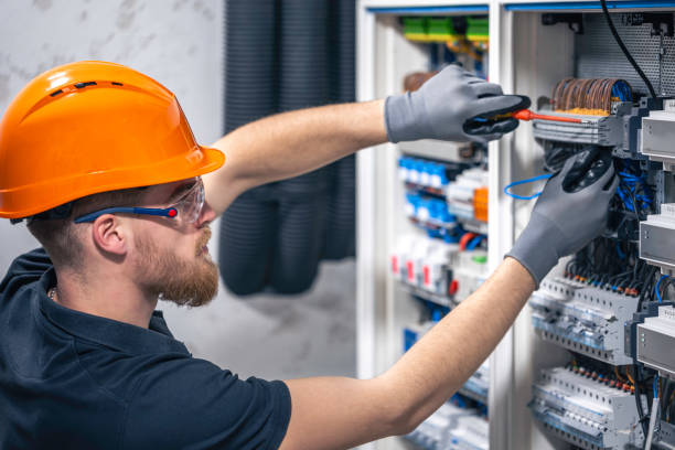 Best Electric Panel Repair  in Medina, MN